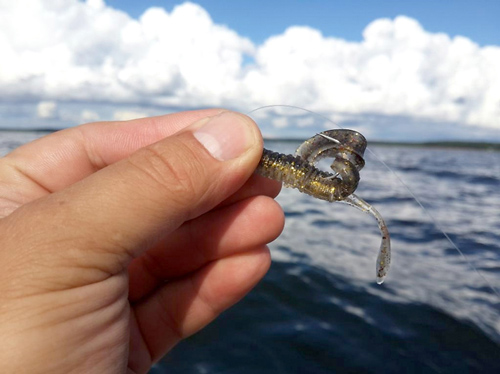 Съедобная приманка Мистик Long Tail Grub