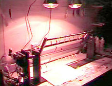 так выглядит «сушилка» в мастерской автора (Garrett Simmons). 