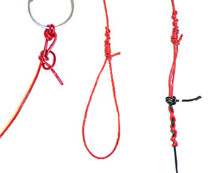 эти специализированные узлы отличаются малыми размерами