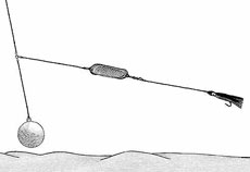 К троллинговому заглубителю (trolling sinker) следует привязать флюорокарбоновый поводок длиной от 10 до 30 футов