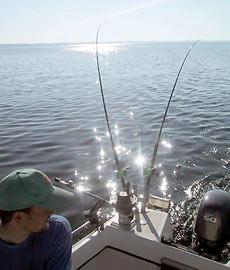 Ловите одновременно на несколько удилищ, используя разные оснастки