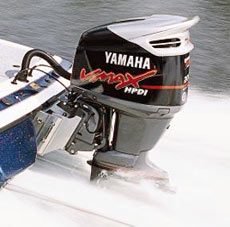 Одной из хорошо зарекомендовавших себя на этом поприще