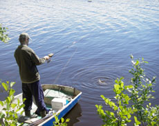 Но не все так плохо. Положительных моментов — хоть отбавляй: