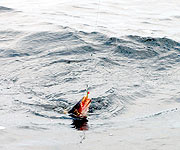 Второй проход над свалом - вторая щука!