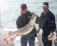 Я начал набираться опыта скоростного троллинга не так давно