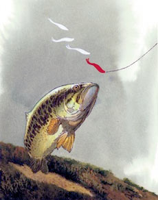 В отношении снастей