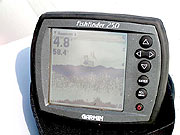 Редкие стаи рыбы на глубине.