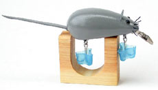 Анализируя все вышесказанное, идея использовать