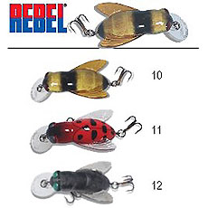 REBEL Bumble Bug