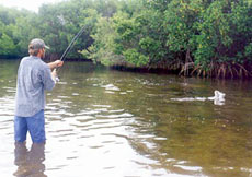 Длинные и&nbsp;тяжелые удилища могут утомить Вас за&nbsp;целый день
