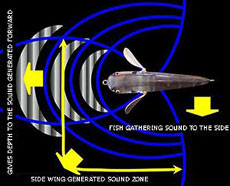 акустические волны, генерируемые воблером при проводке