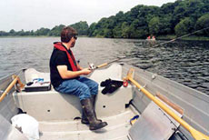 В качестве приманки автор предпочитает применять мертвую рыбку.