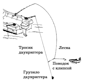 Схема снасти для троллинга симы