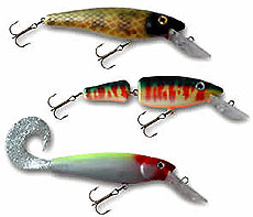 модельный ряд Ernie