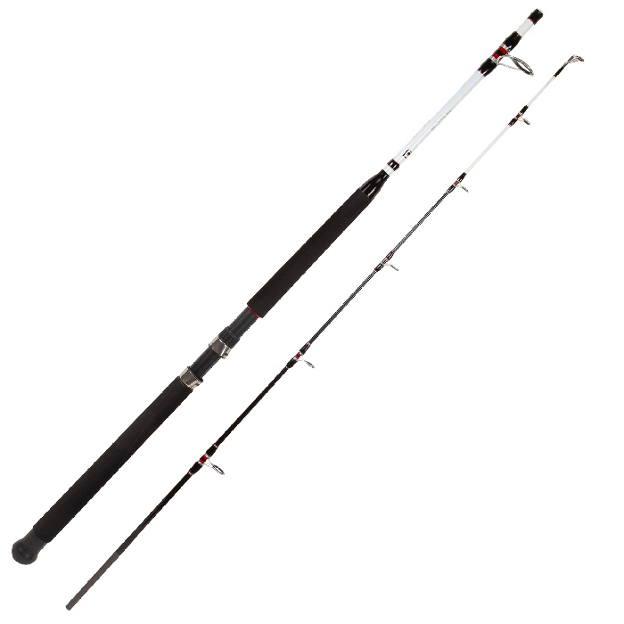 Сниннинг для троллинга Trolling 6M 1,80 м (40-100 гр) Сниннинг для троллинга Trolling 6M 1,80 м (40-100 гр)