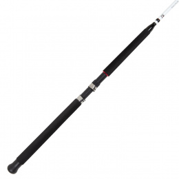 Сниннинг для троллинга Trolling 6M 1,80 м (40-100 гр) Сниннинг для троллинга Trolling 6M 1,80 м (40-100 гр)