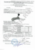 Грибной нож Morakniv Mushroom Red - протокол испытаний