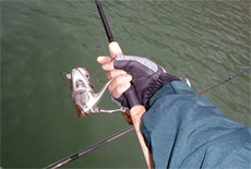 Настоящие рыболовные перчатки – какие они?