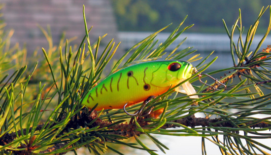 Воблер Mystic Diaction Pike: опыт охоты на щуку