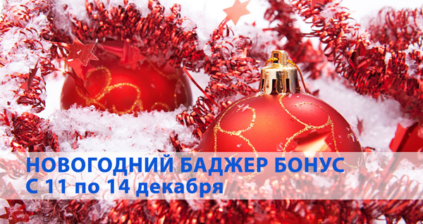 Новогодний Баджер Бонус
