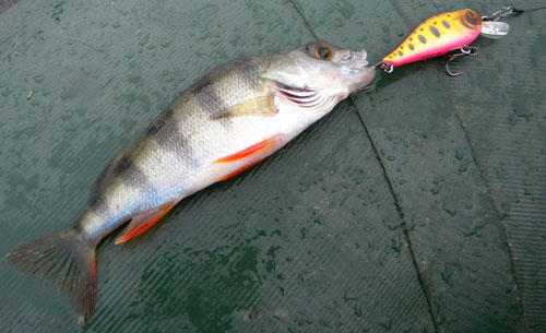 Воблер Mystic T-Trotta 40