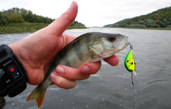 Воблер Mystic Zuk 32