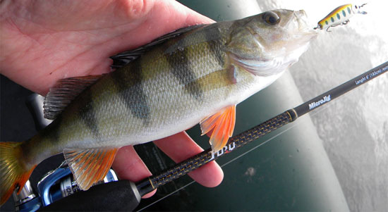 Спиннинг Mystic Fury MJ600