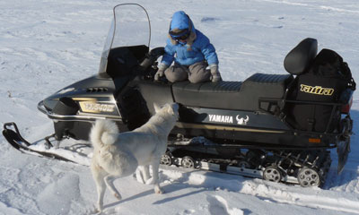 гусеница RipSaw 9151U